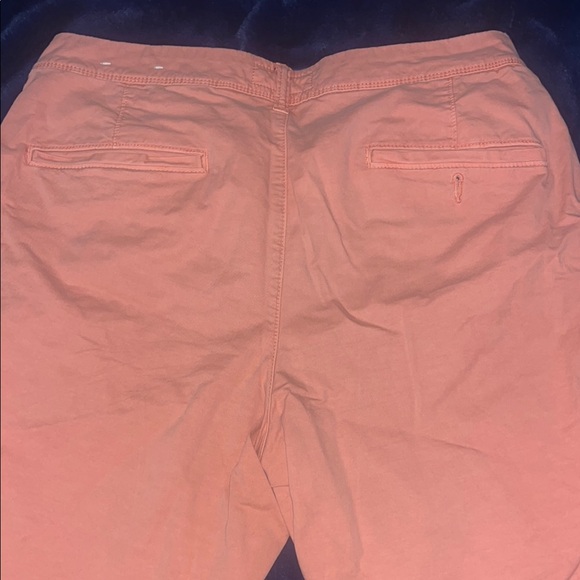 American Eagle Coral Flex Shorts - Picture 5 of 6